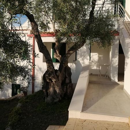 Villa Elisa Vieste Eksteriør billede