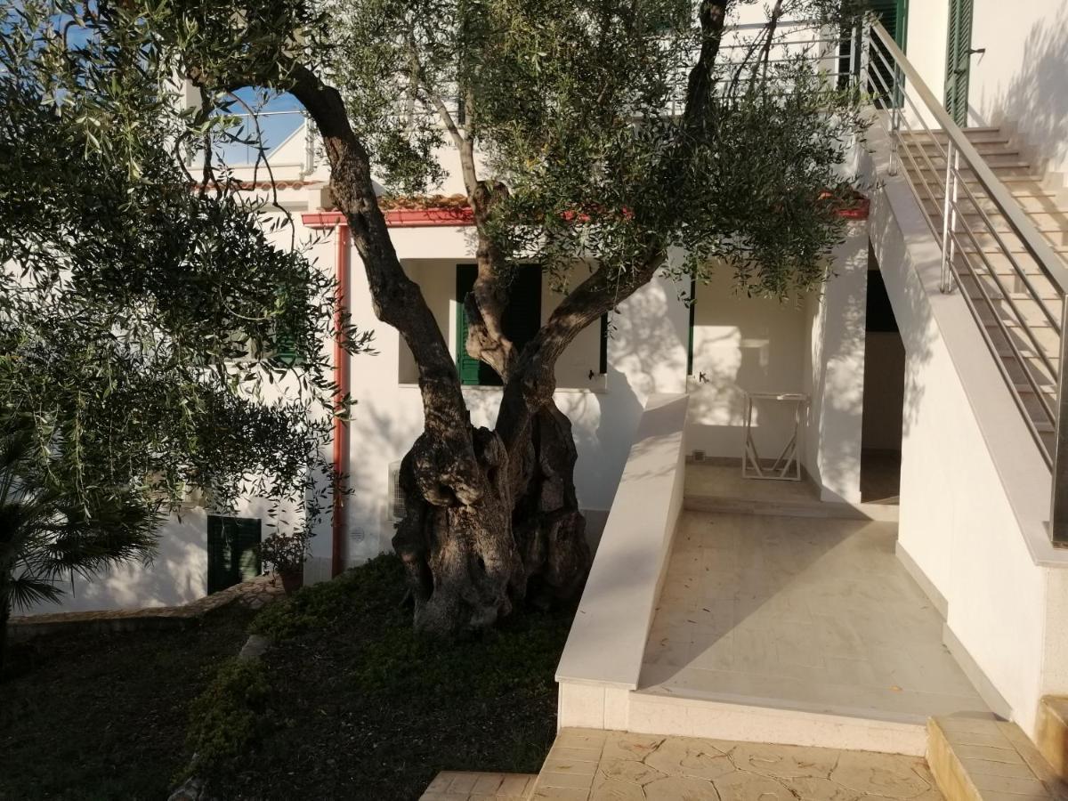 Villa Elisa Vieste Eksteriør billede